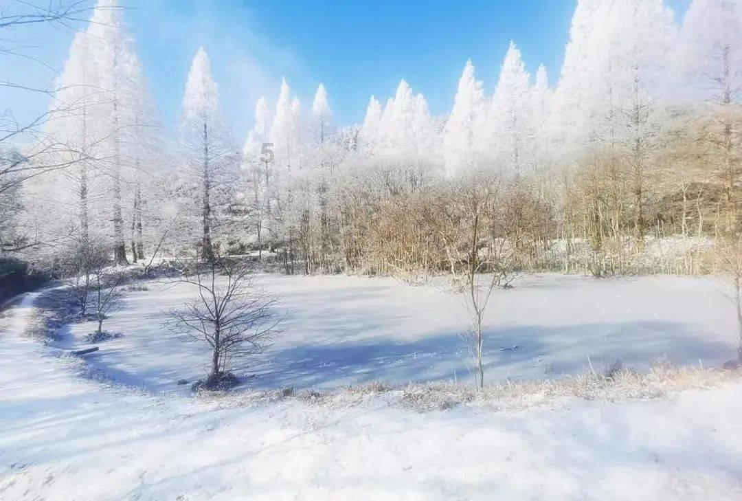 用黑龙江四季美景打开大寒节气！190秒延时摄影看牡丹江24小时
