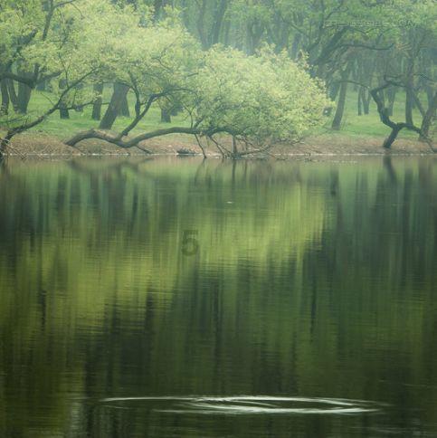 宝可梦探险寻宝