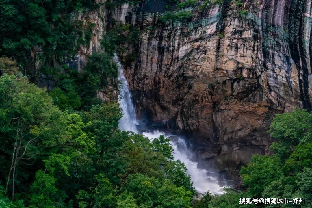 僵尸躲避战